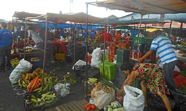 OL-MichelleMarkt1-0504