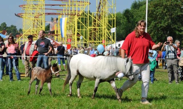 OL-Tierschau5-1806