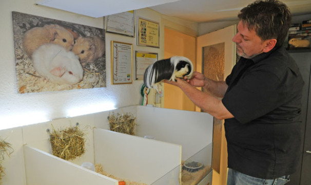 OLMeerschweinchen1-0706