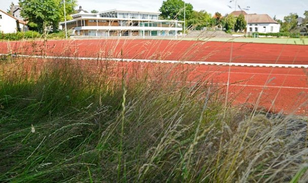 OL-Lindensportplatz1-1707