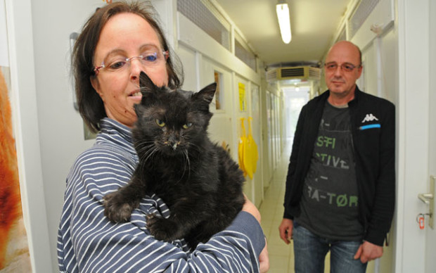 Bettina Reser 2014 mit Kater "Tibor": Der junge Kater schnurrt auf dem Arm von Bettina Reser, nachdem sie ihn als verwilderten Welpen von einem Hof geholt hat. Im Hintergrund: der Tierpfleger Thomas Schmidt. Fotos: aep/archiv