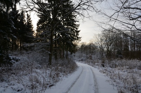 OL-Winterbild-Katrin-0802