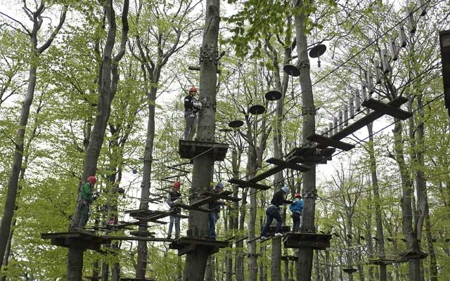 Wer den Adrenalinschub sucht, kann sich auf den Kletterwald begeben. Foto: archiv