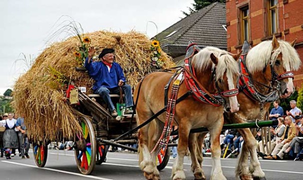 OL-Trachtenfest5-2906