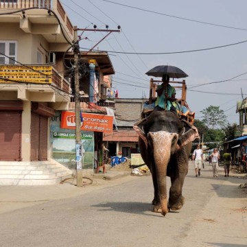 OL-Nepal-StrasseWaisenhaus-2008