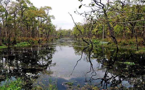 OL-FNepal-See-im-Nationalpark