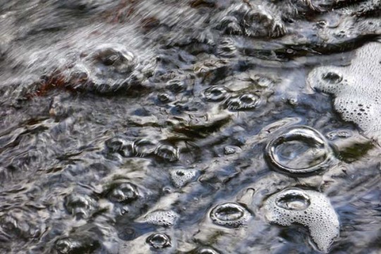 Natürlicher, lebendiger Schnappschuss: Bilder wie dieses sind in der Ausstellung zu sehen. 