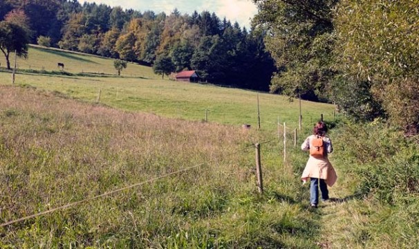 OL-WanderungLochbach1-0510