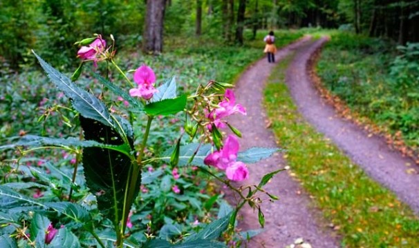 OL-WanderungLochbach13-0510
