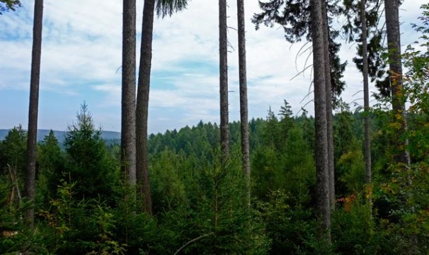 OL-WanderungLochbach16-0510