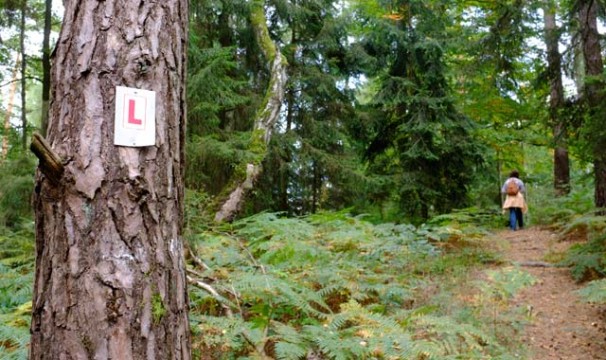 OL-WanderungLochbach18-0510
