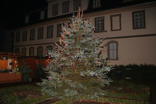 lauterbacherweihnachtsbaum