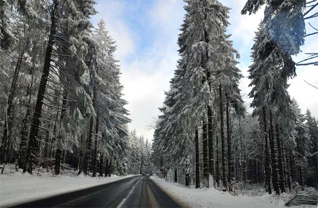 Winterliche Glitzerlandschaft lädt zum Skifahren oder eben auch Mountainbike ein. Foto: archiv/aep