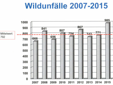 ol-wildunfaelle2015-2303