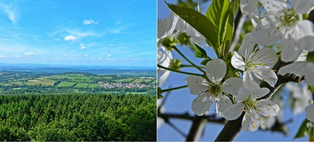 ol-impressionen-aus-dem-vogelsberg-5