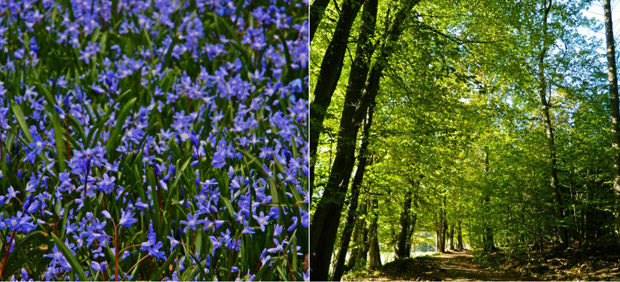 ol-impressionen-aus-dem-vogelsberg3