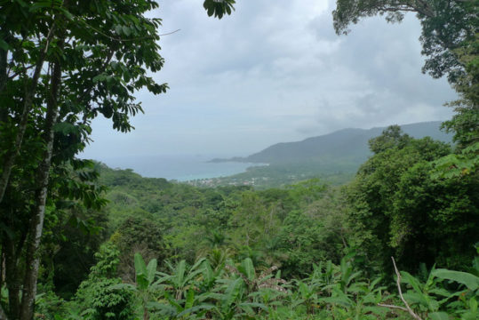 P1130164