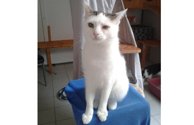 ol-Bild-Maya-Zeitung-0107