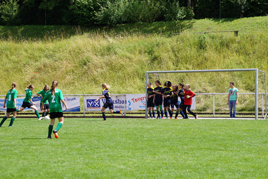 ol-sve1-1707
