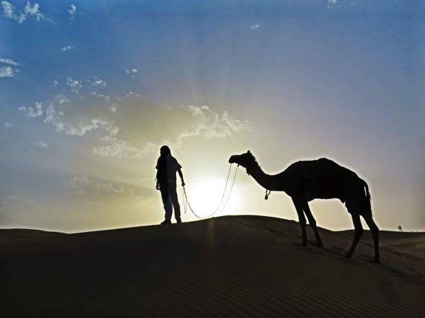 In der Wüste Indiens: ein traditioneller Kamelritt darf nicht fehlen. Foto: Solero Schäfer