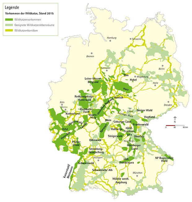 ol-WiKaplan1015_Verbreitung-2810