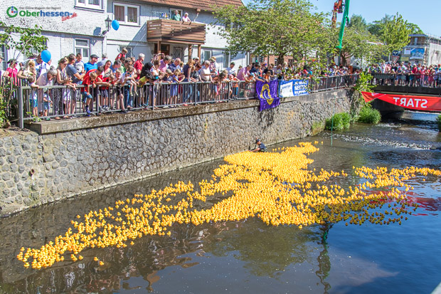 Um 16:26 Uhr starteten die 5489 Enten an der Schubert-Brücke ihr Rennen