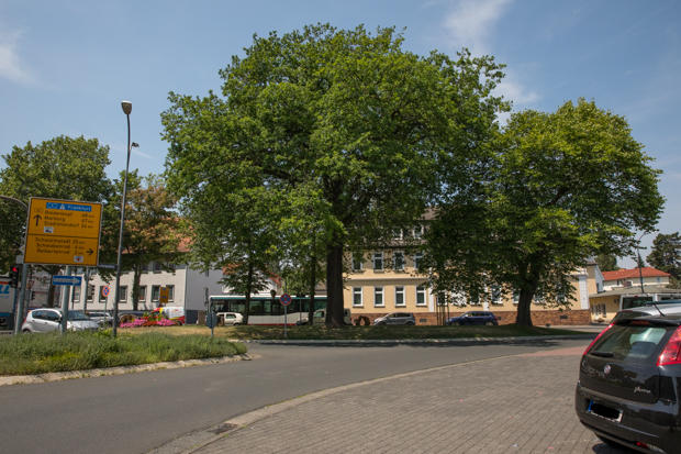 Der Ludwigsplatz. Er soll nach dem Transport umgestaltet werden. Foto: kb