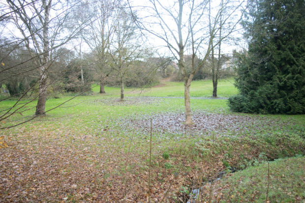 Der Goethepark: Diesen Standort für einen Kita-Neubau präferiert der Elternbeirat der Kita Wichtelland. Foto: ls