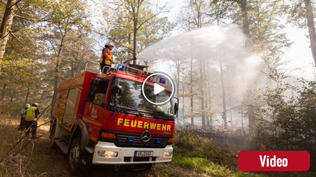 Großbrand im Wald zwischen Ober-Gleen und Maulbach