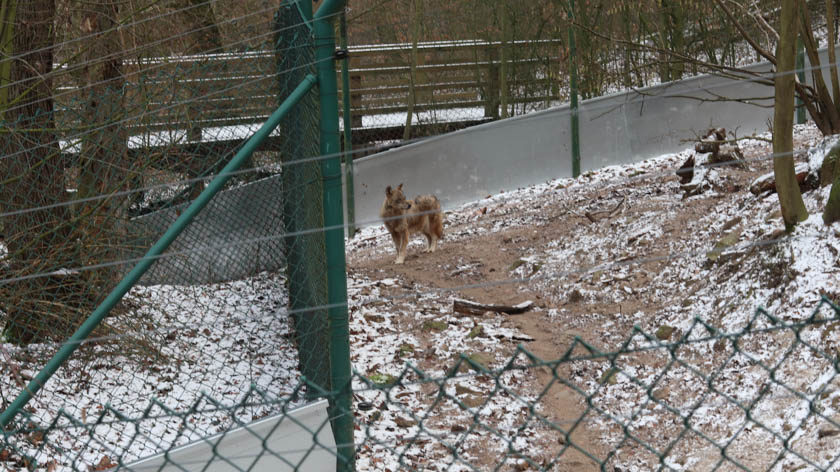 Sie sucht ihn homberg(ohm)