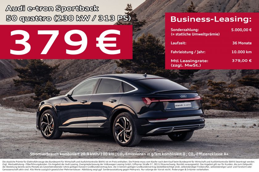 E-Tron: Angebot Businesskunden