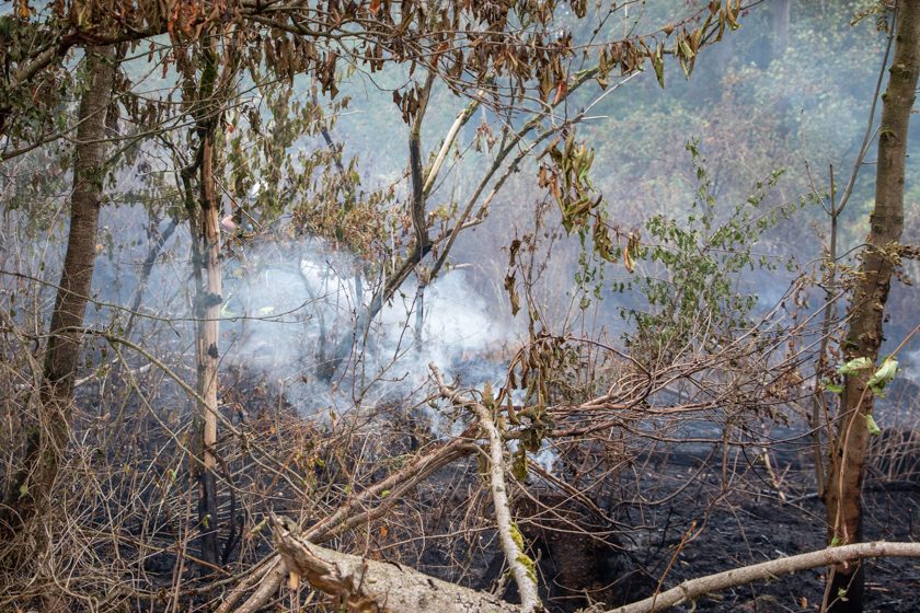 2020-08-09_Brand_Höckersdorf (19 von 39)