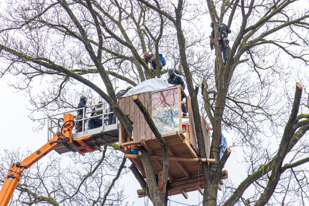 Der Dannenröder Wald ist geräumt