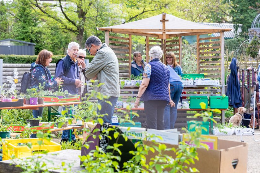 pflanzenflohmarkt-alsfeld-16