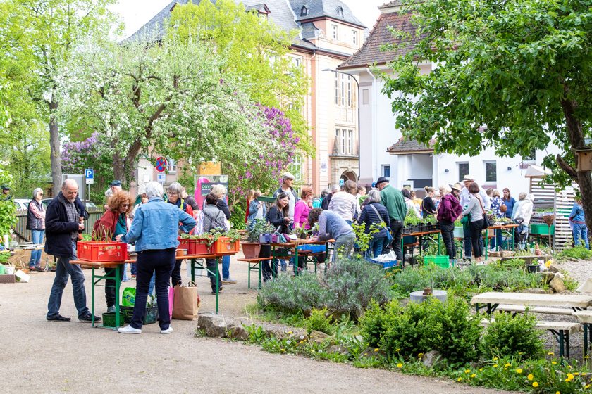 pflanzenflohmarkt-alsfeld-8