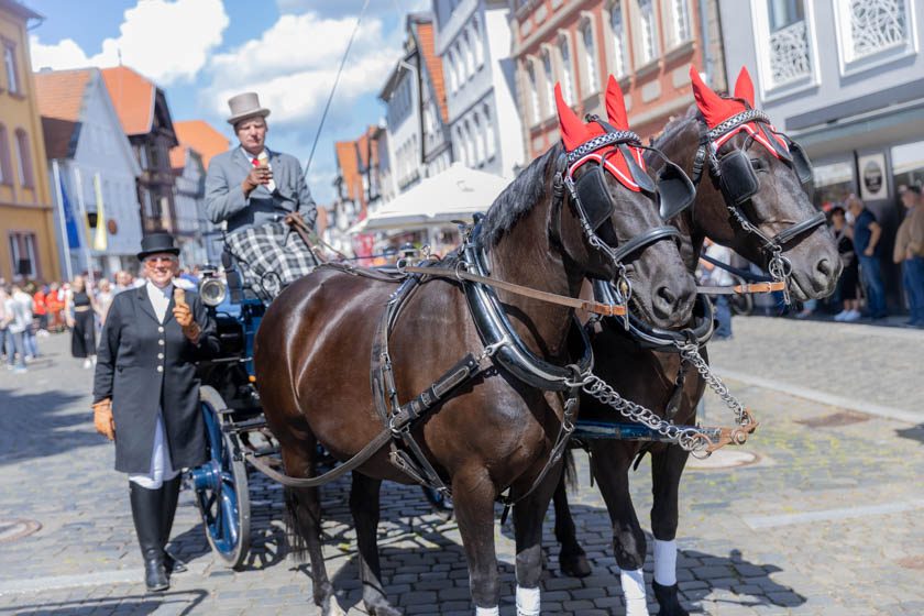 2022-06-11_Praemienmarkt-5