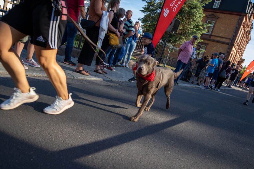 2022-06-14_Strolchenlauf-157