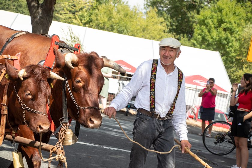 2022-08-14_FestzugAngenrod (46 von 79)