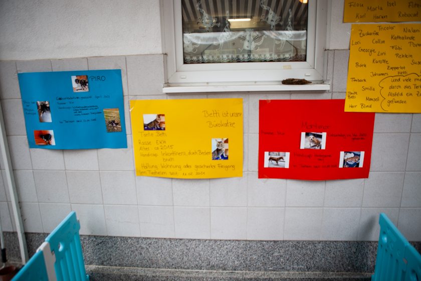 2022-09-10_Tierheim_Kindertag (6 von 24)