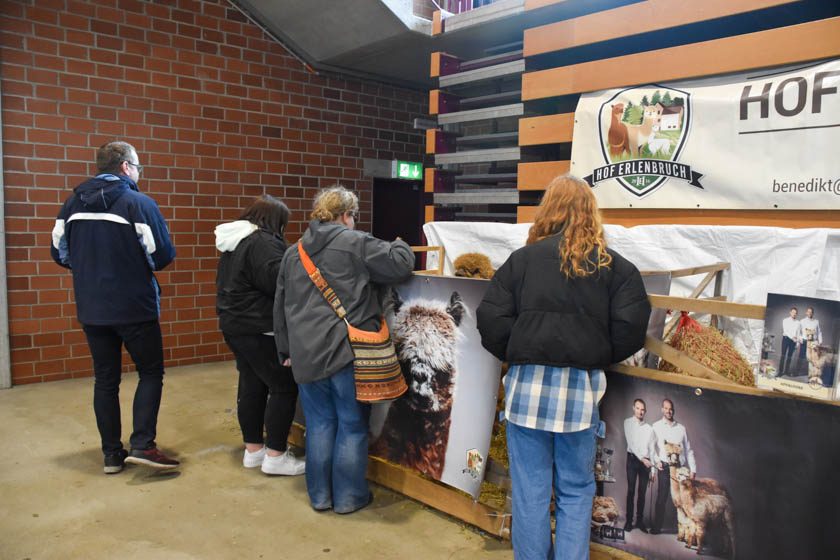 2023-04-08_Alpaka-Show (10 von 76)