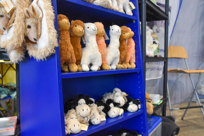 2023-04-08_Alpaka-Show (15 von 76)