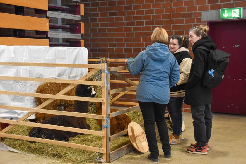 2023-04-08_Alpaka-Show (19 von 76)