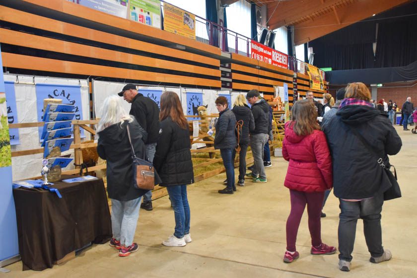 2023-04-08_Alpaka-Show (3 von 76)