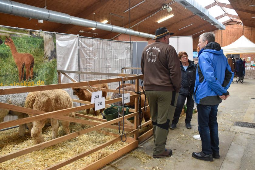 2023-04-08_Alpaka-Show (32 von 76)