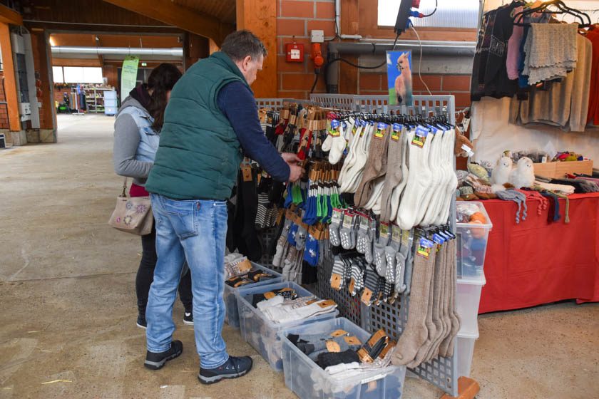 2023-04-08_Alpaka-Show (35 von 76)