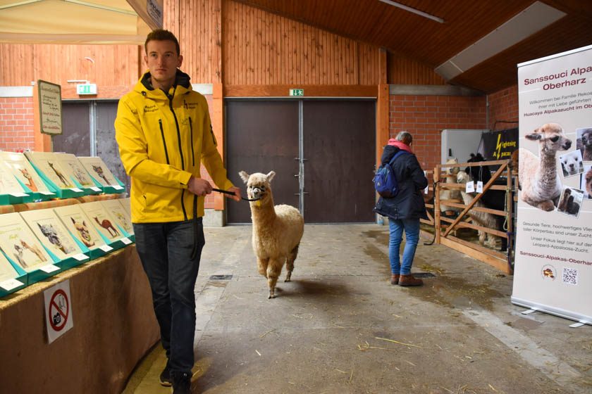 2023-04-08_Alpaka-Show (36 von 76)