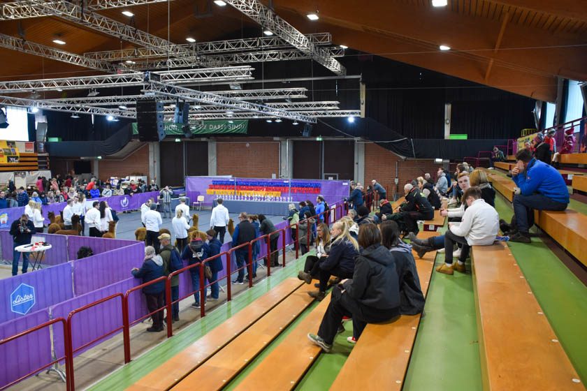 2023-04-08_Alpaka-Show (65 von 76)