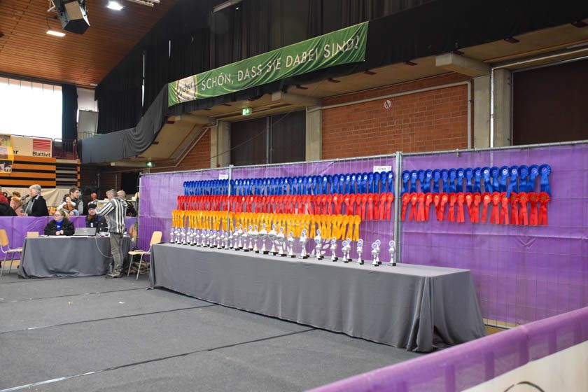 2023-04-08_Alpaka-Show (66 von 76)