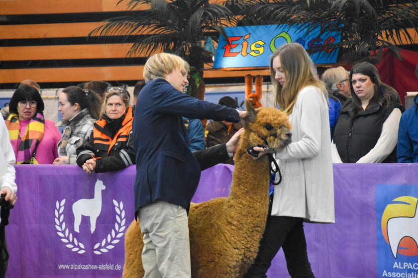 2023-04-08_Alpaka-Show (67 von 76)
