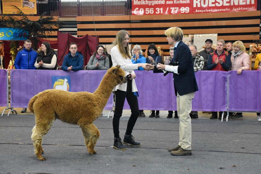 2023-04-08_Alpaka-Show (71 von 76)